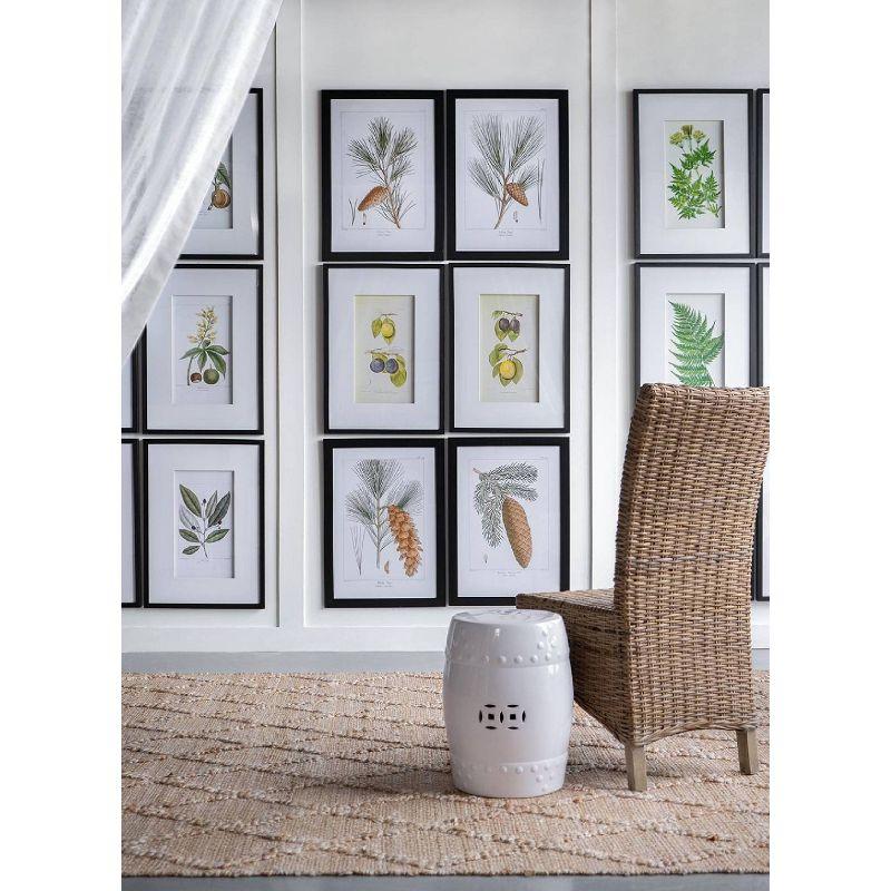 Set of 2 Smithsonian Fruit Framed Wall Arts - A&B Home: Transitional Decor, Vertical Orientation, Includes Mounting Hardware