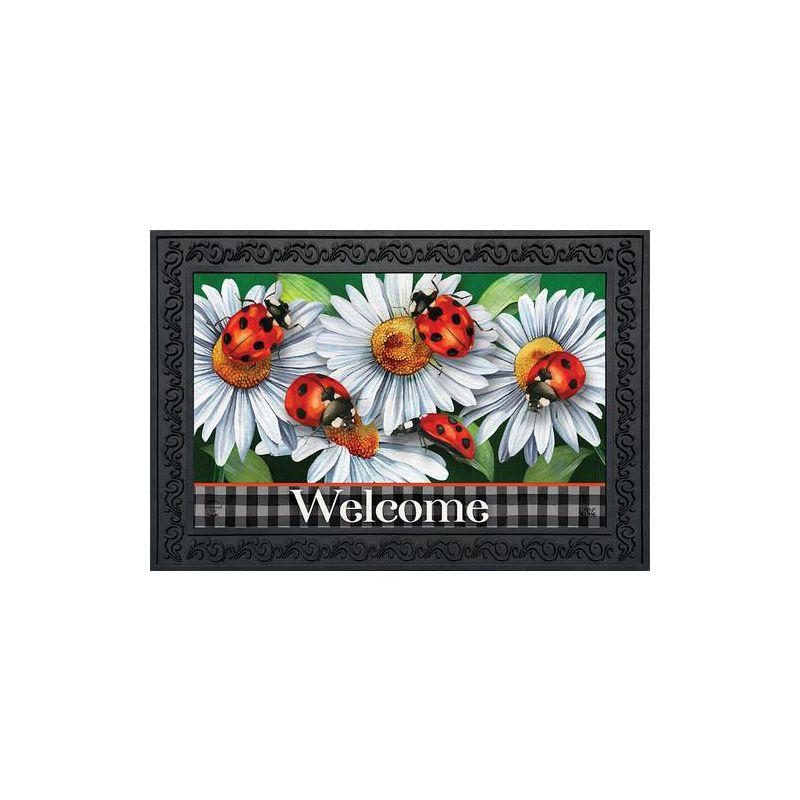 Briarwood Lane Spring Doormat 30x18 Indoor Outdoor Ladybugs and Daisies For Spring Doormat