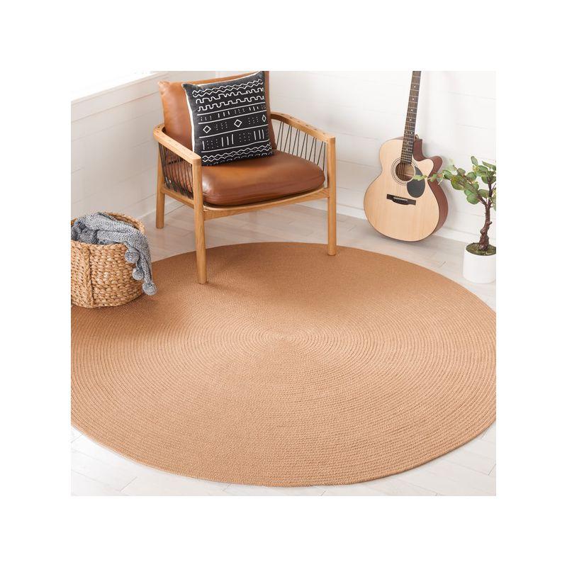 Braided BRD402 Hand Woven Area Rug - Tan - 7' round - Safavieh.