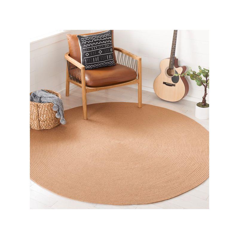 Tan Round Braided Handwoven Reversible Area Rug