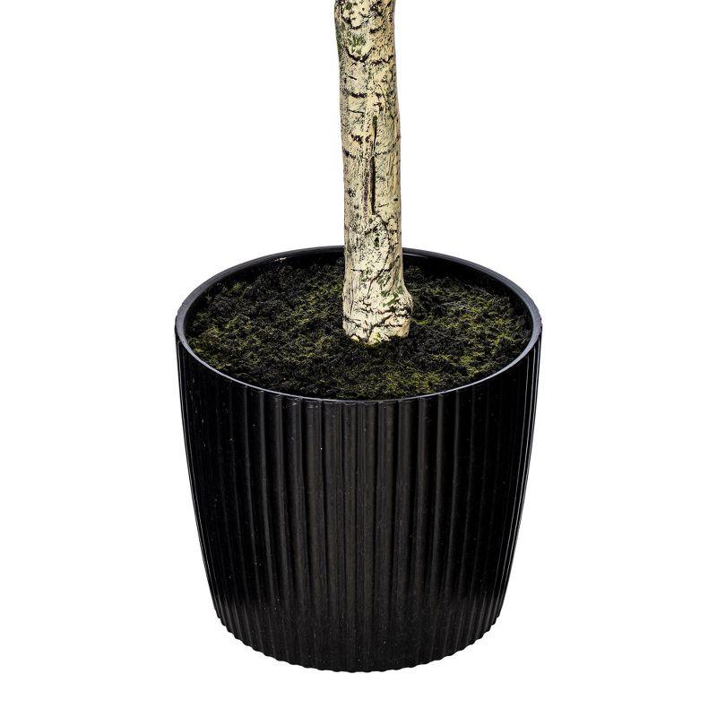 Vickerman Artificial Green Olive Tree in Black Planters Pot.