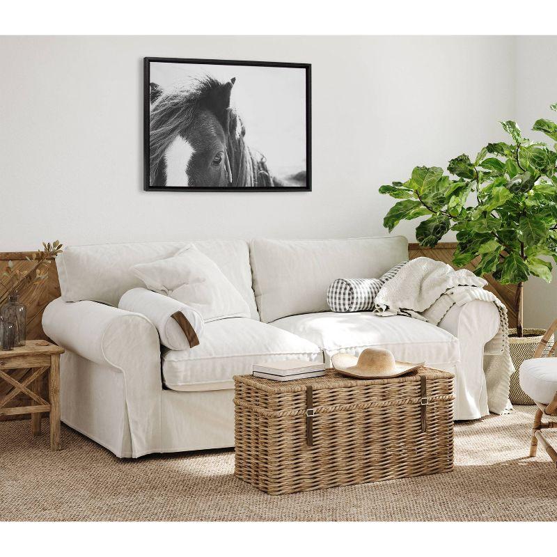 Noble Black and White Horse Framed Canvas Print