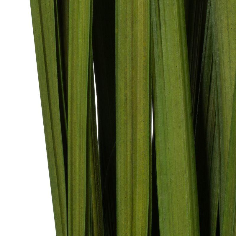 Vickerman Sable Grass, Dried