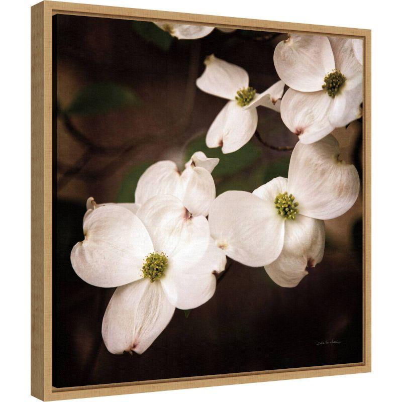 20" x 19" White Dogwood Blossoms Framed Canvas Print