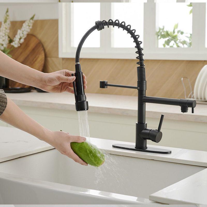 Matte Black Pull-Down Kitchen Faucet with Deck Plate