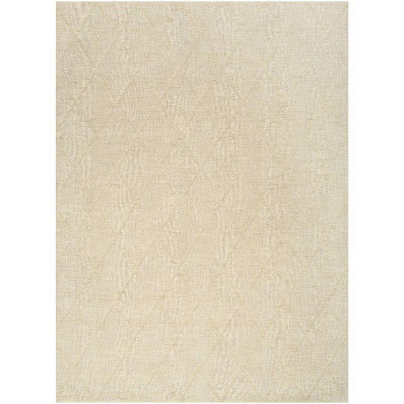 Nourison Wool Haven Modern Handwoven Area Rug