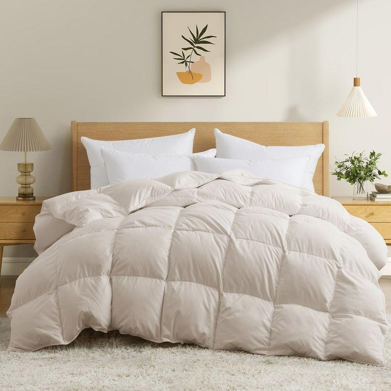 Alwyn Home 600in³/oz Fill Power Winter Goose Down Comforter