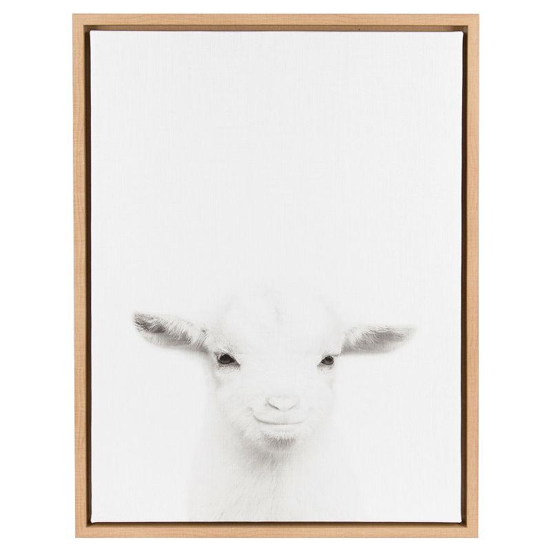 Natural Framed Black and White Baby Goat Canvas Art