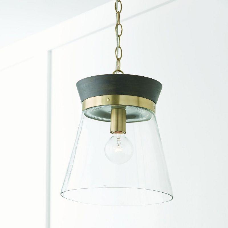 Capital Lighting Finn 1 - Light Pendant in  Black Stain/Matte Brass