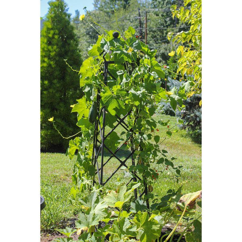 Enchanted Forest Graphite Steel Lattice Obelisk Trellis