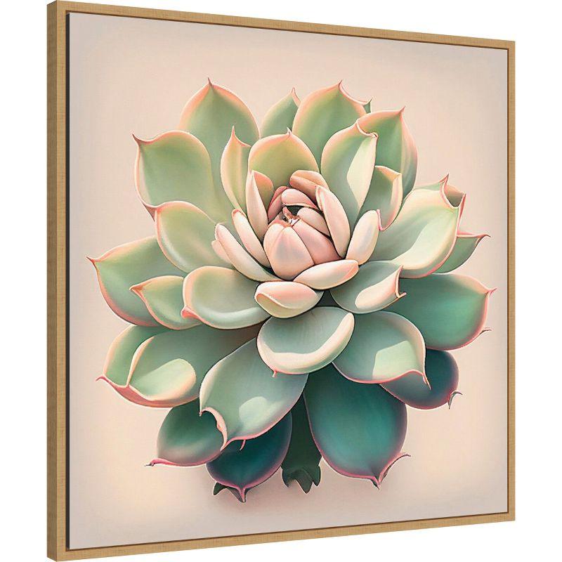 Amanti Art Echeveria Pulidinis by Incado Framed Canvas Wall Art