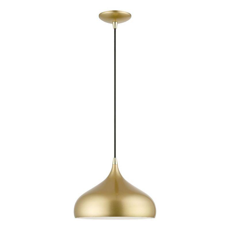 Soft Gold and Polished Brass Teardrop Pendant Light