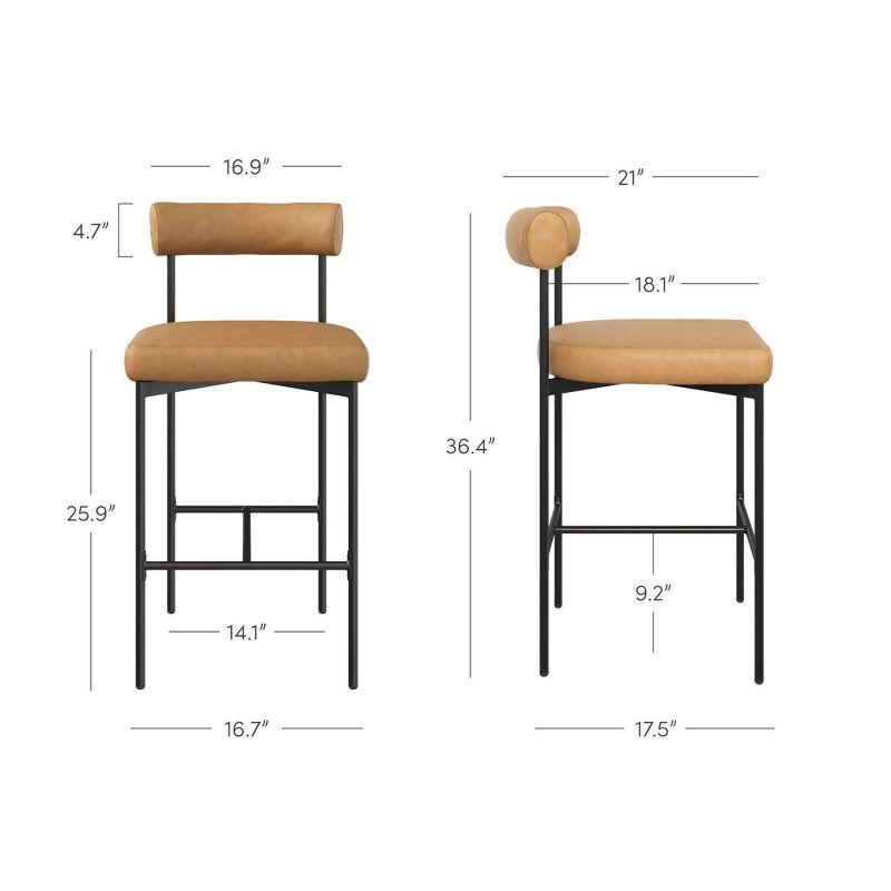 Nathan James Set of 2 Dahlia Counter Height Barstools