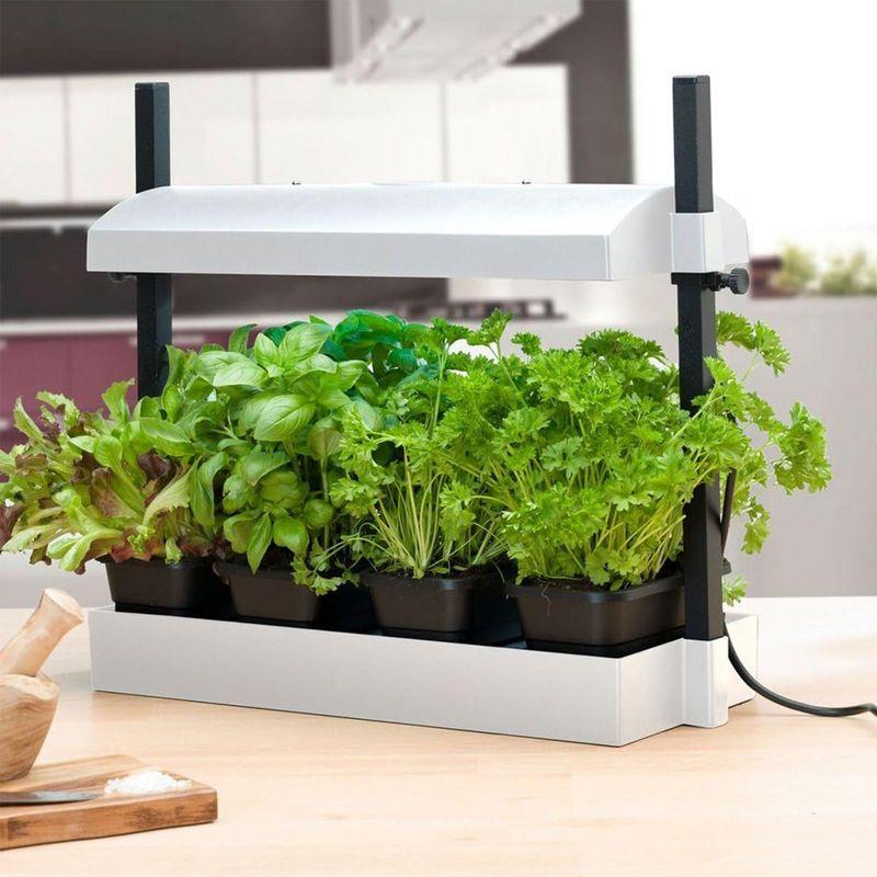 Sunblaster Sunblaster Growing Kit