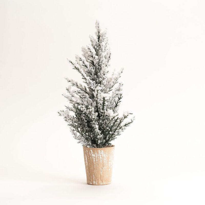 Set of 4 Snowy Potted Pine Trees with Plastic Pots