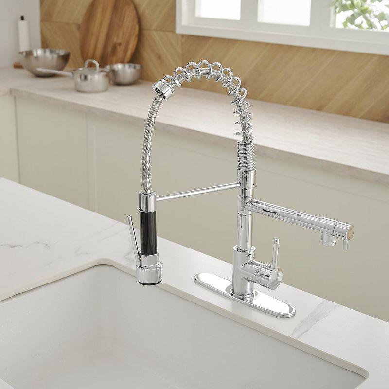 Pull Down Single Handle Kitchen Faucet with Accessories