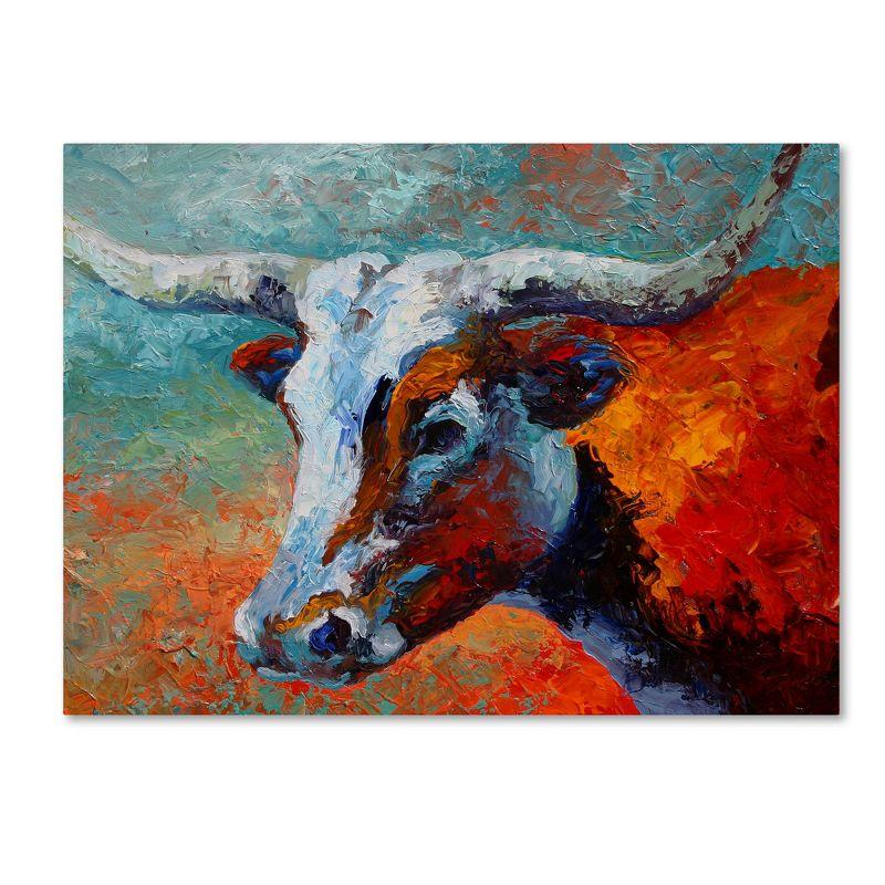 Marion Rose Young Longhorn Teal and Rust Canvas Art