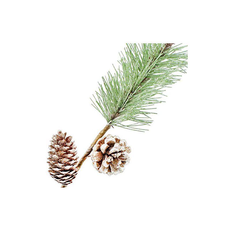 AuldHome Design Pine Cone Picks, 6pk; Frosted Evergreen Christmas Decor Floral Stems