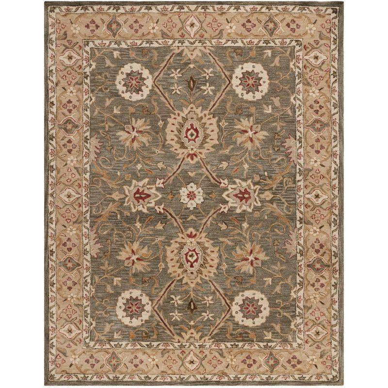 Anatolia AN516 Hand Tufted Indoor Area Rug - Brown/Ivory - 8'x10' - Safavieh