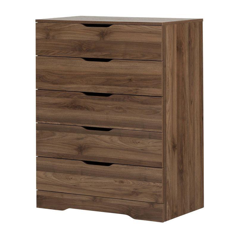 Sleek Black Holland 5-Drawer Vertical Storage Chest