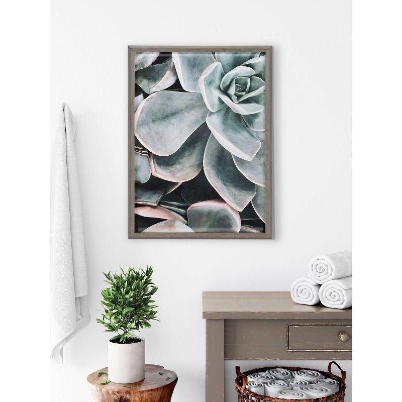 18" x 24" Blake Botanical Succulent Plants 2 Framed Printed Glass by the Creative Bunch Studio Gray - Kate & Laurel All Things Decor