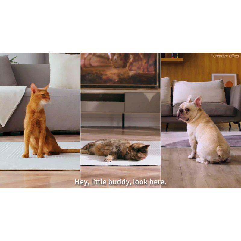 PETKIT 5L YumShare Dual-hopper Cat and Dog Automatic Feeder with Camera