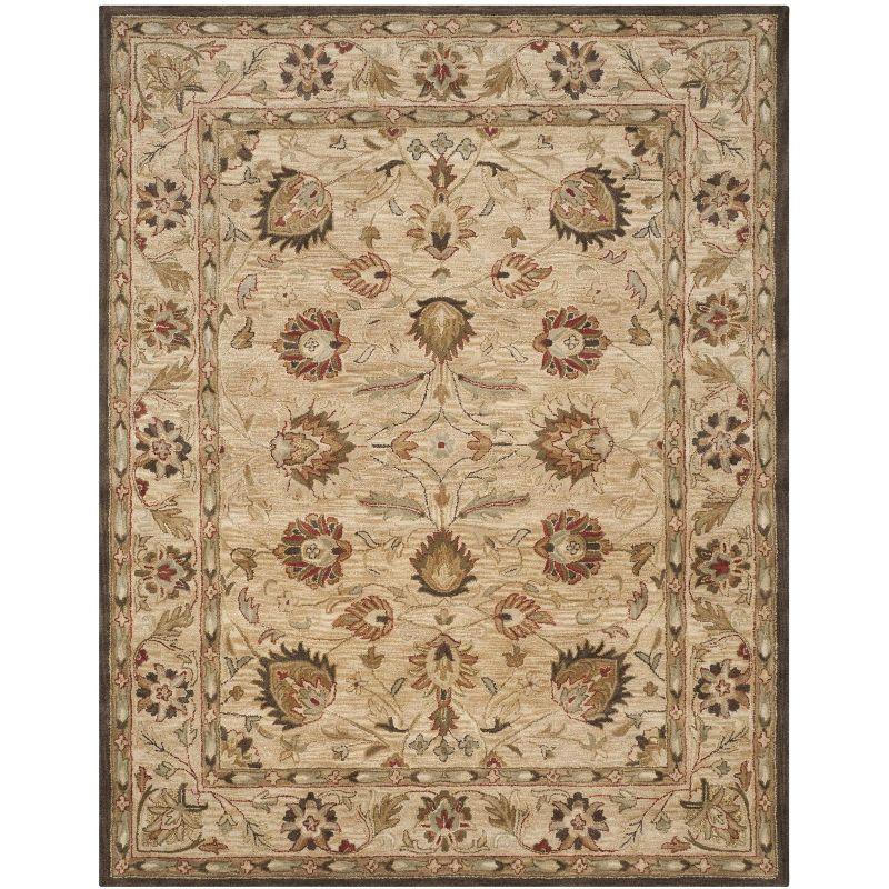 Antiquity AT812 Hand Tufted Indoor Area Rug - Beige/Beige - 8'3"x11' - Safavieh