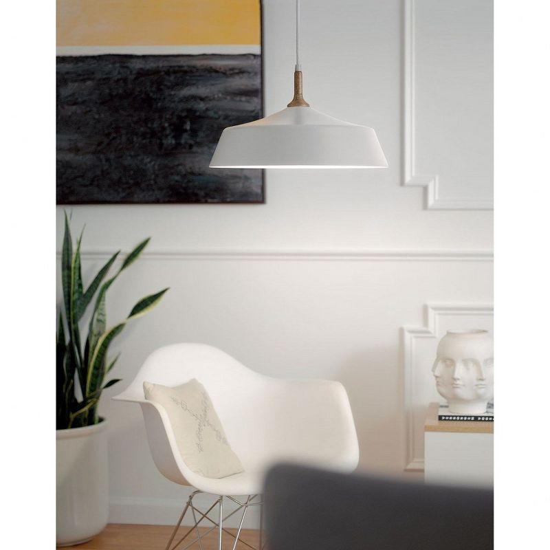 Danika 9.25" 1 Light Pendant with White finish and Wood Accents