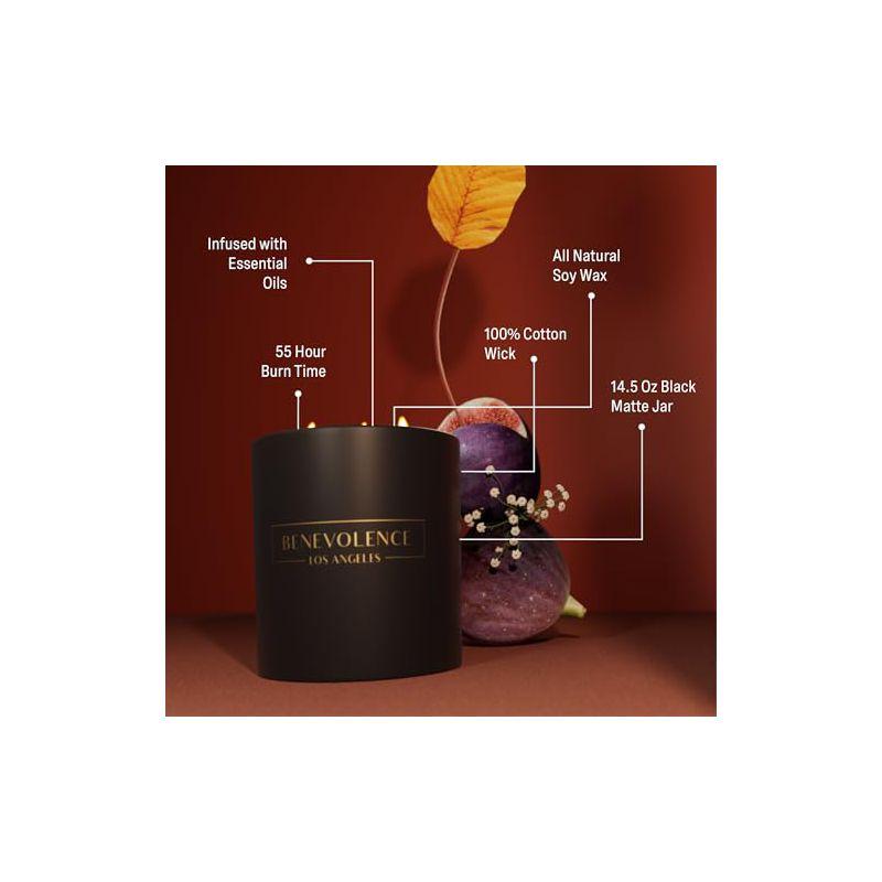 Benevolence LA Premium All Natural Soy 3 Wick Candles In Matte Black Glass Jar - Fig Tree Scent (14.5 oz)