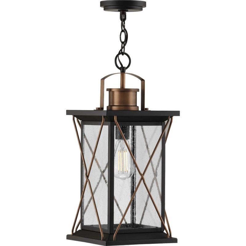 Progress Lighting Barlowe 1-Light Outdoor Hanging Lantern, Antique Bronze, Clear Seeded Glass, Farmhouse Style