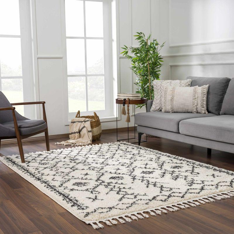 Hauteloom Rectangle Area Rug   Charcoal