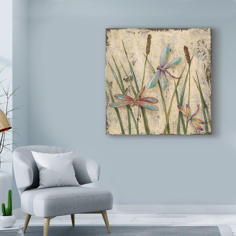 Jade Reynolds Dancing Dragonflies I Outdoor Canvas Art