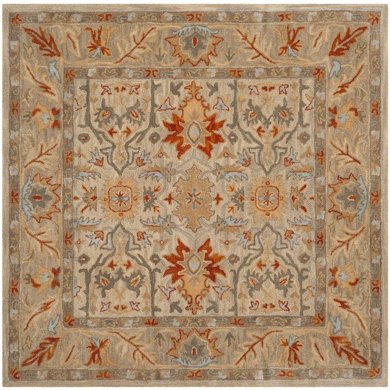 Antiquity AT63 Hand Tufted Area Rug  - Safavieh