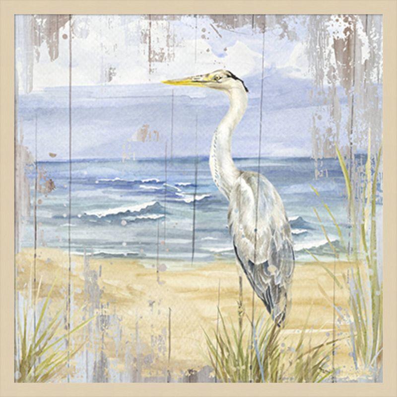 Amanti Art Birds of the Coast Rustic II by Tara Reed Framed Wall Art Print