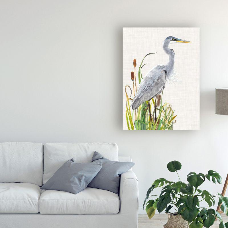 Trademark Fine Art -Naomi Mccavitt 'Water Birds And Cattails I' Canvas Art