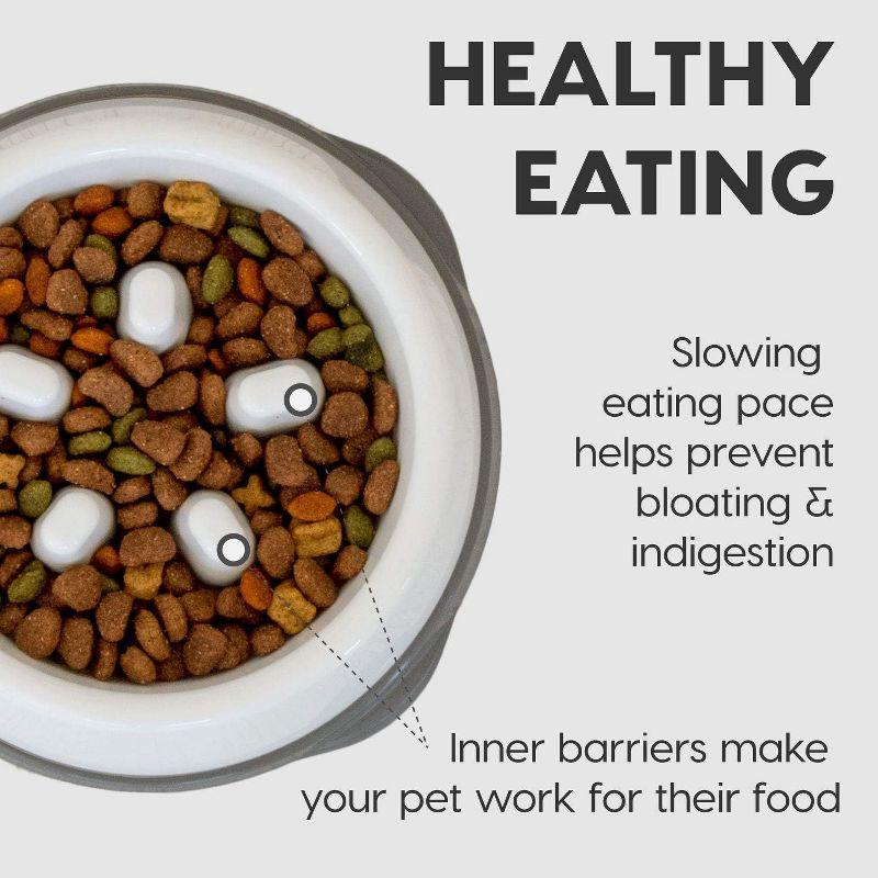 IRIS USA 2 Cup Slow Feeder Dog Bowl for Long Snouted Pets, White/Beige