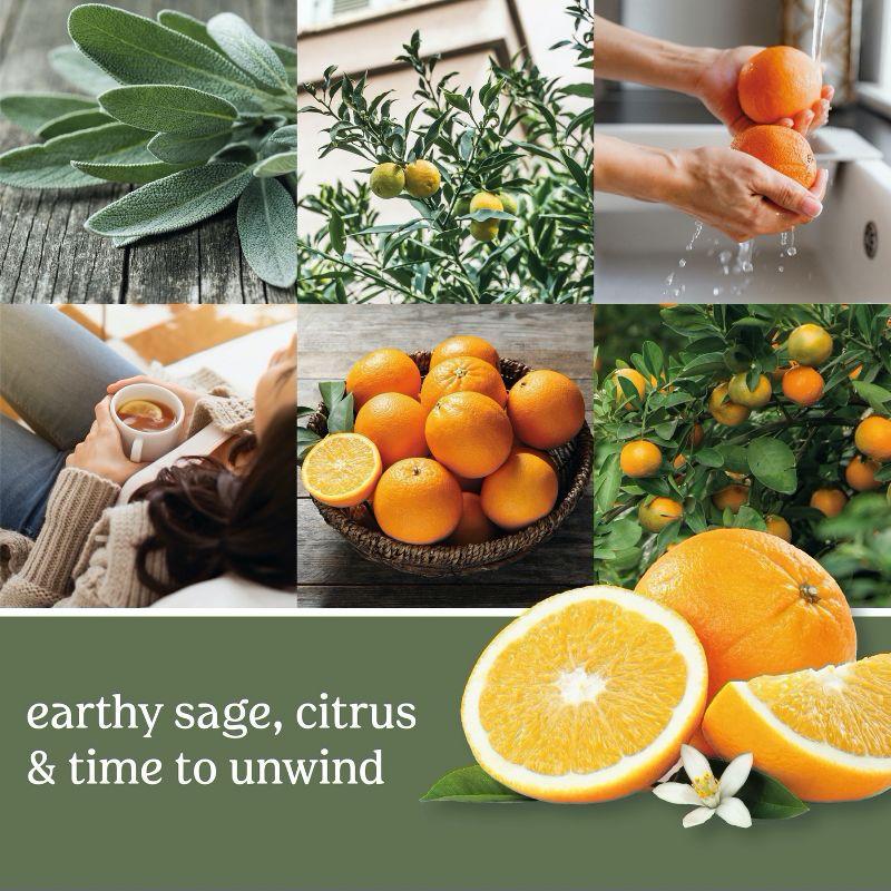Signature Tumbler Sage and Citrus 20oz - Yankee Candle