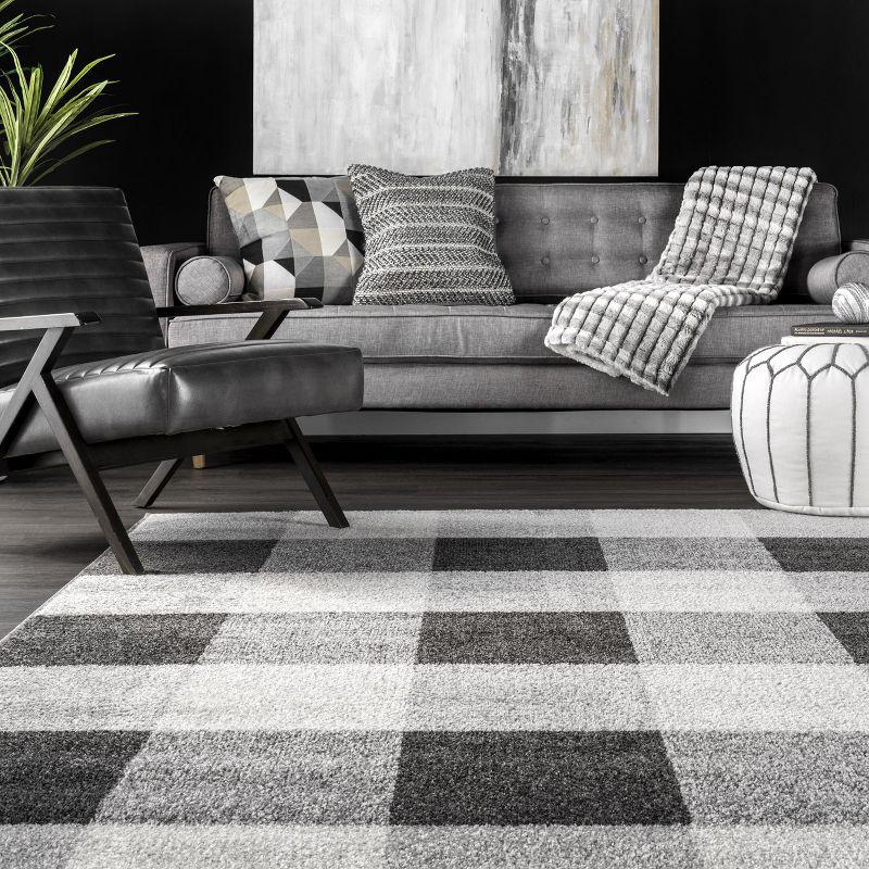 Nuloom Aisha Plaid 4x6 Indoor Area Rug for Living Room Bedroom Dining Room Kitchen, Grey/Ivory