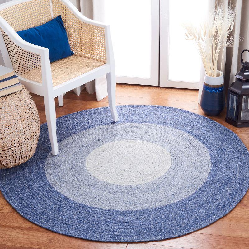 Braided BRD802 Hand Woven Area Rug  - Safavieh