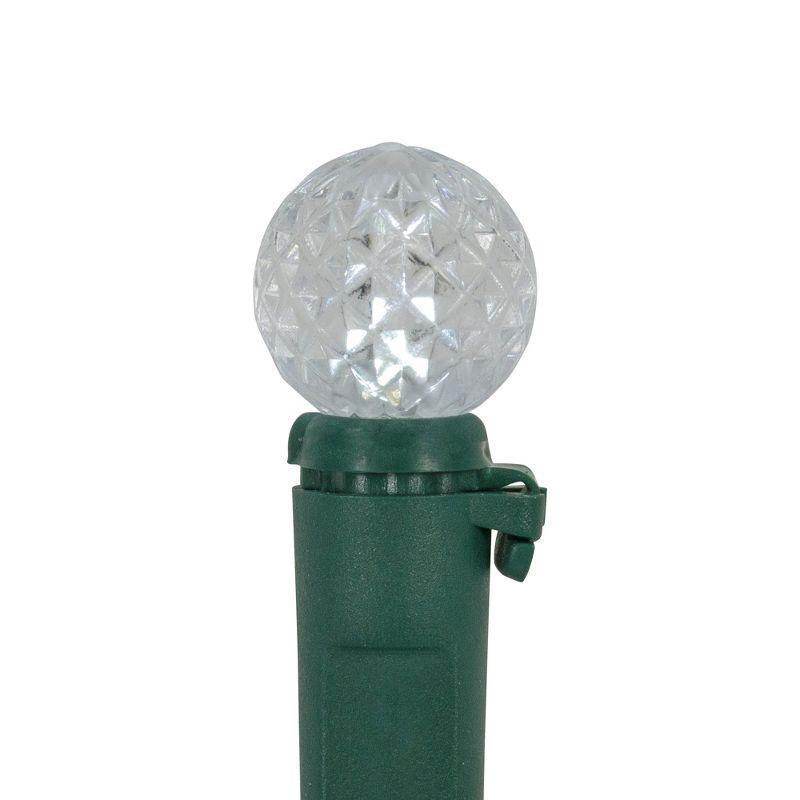 Northlight LED G12 Berry Christmas Lights - Pure White - 16' Green Wire - 50 ct