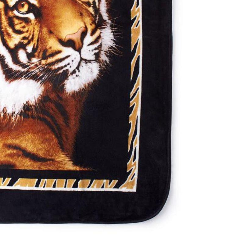 Shavel Home Products High Pile Oversized 60x80 Luxury Throw