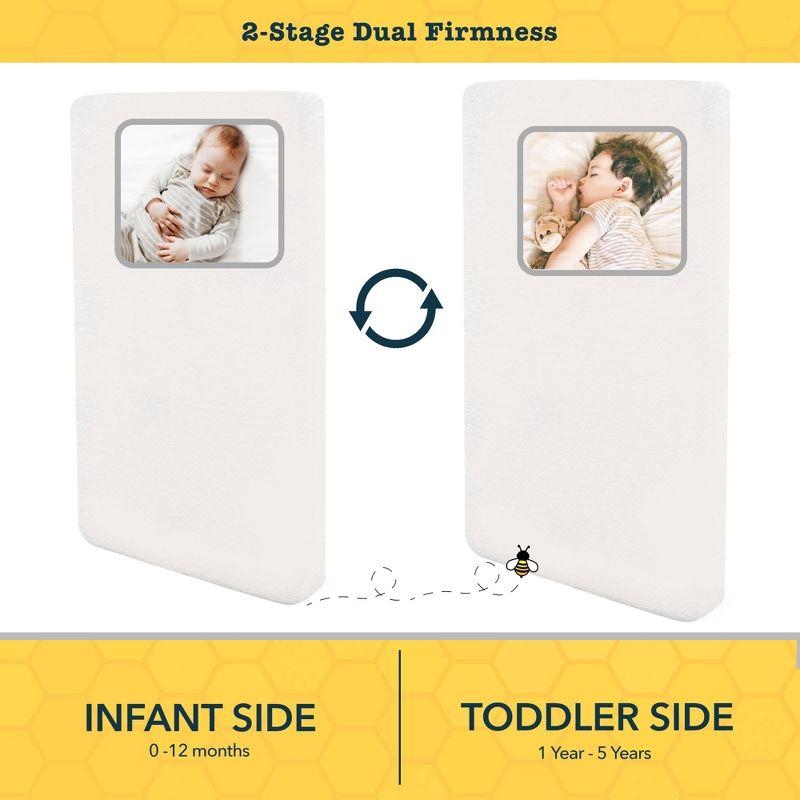 Nature Bee Organic's 2-Stage Mini Crib Mattress