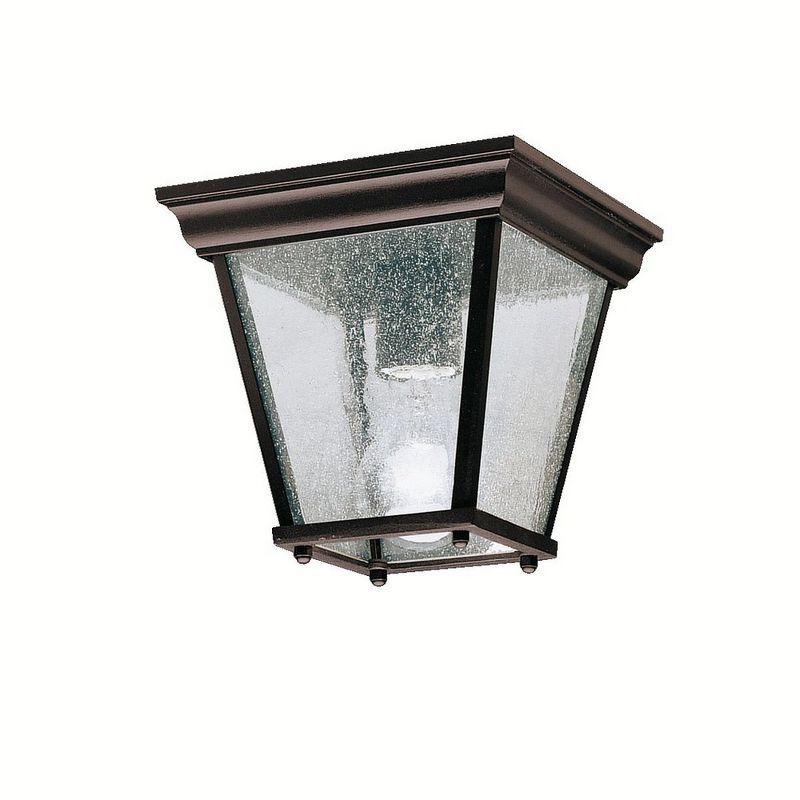 Black Glass and Bronze Indoor/Outdoor Ceiling Light