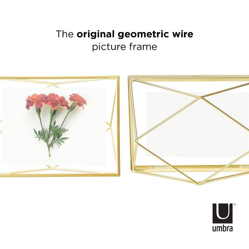 Prisma Metal Floater Picture Frame