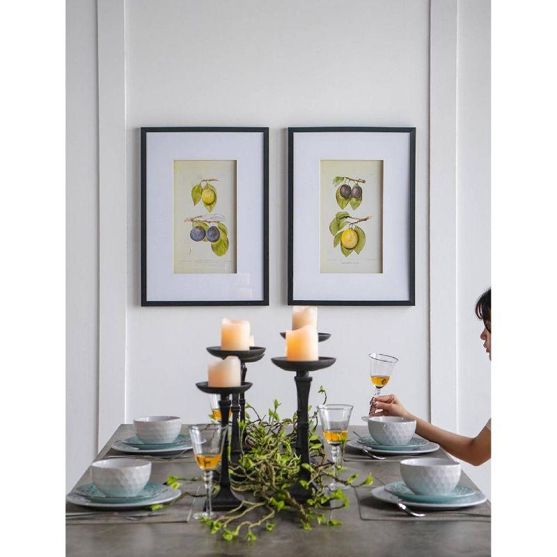 Set of 2 Smithsonian Fruit Framed Wall Arts - A&B Home: Transitional Decor, Vertical Orientation, Includes Mounting Hardware