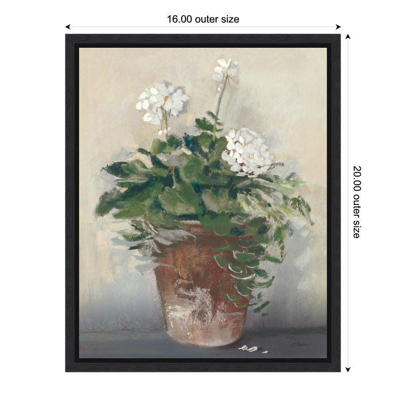 Amanti Art Pot of White Geraniums by Carol Rowan Framed Canvas Wall Art