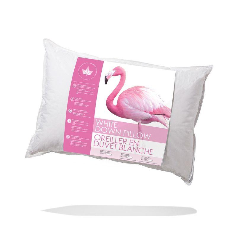 Canadian Down & Feather Company Down Medium Pillow