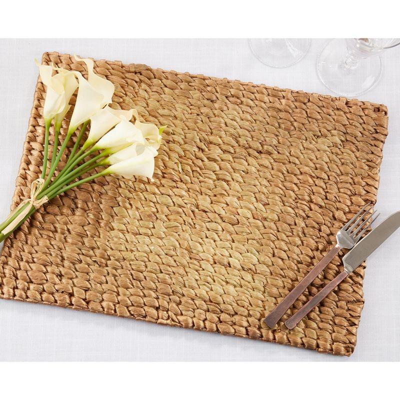 Gold Woven Water Hyacinth Rectangular Placemats Set of 4