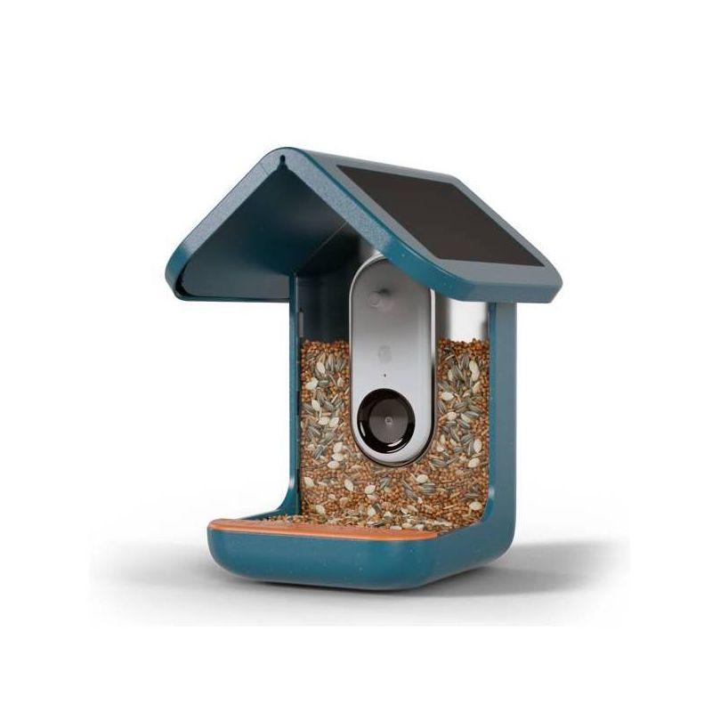 Bird Buddy Smart Bird Feeder with Camera and Solar Roof: Weather-Resistant, Hanging or Pole Mount