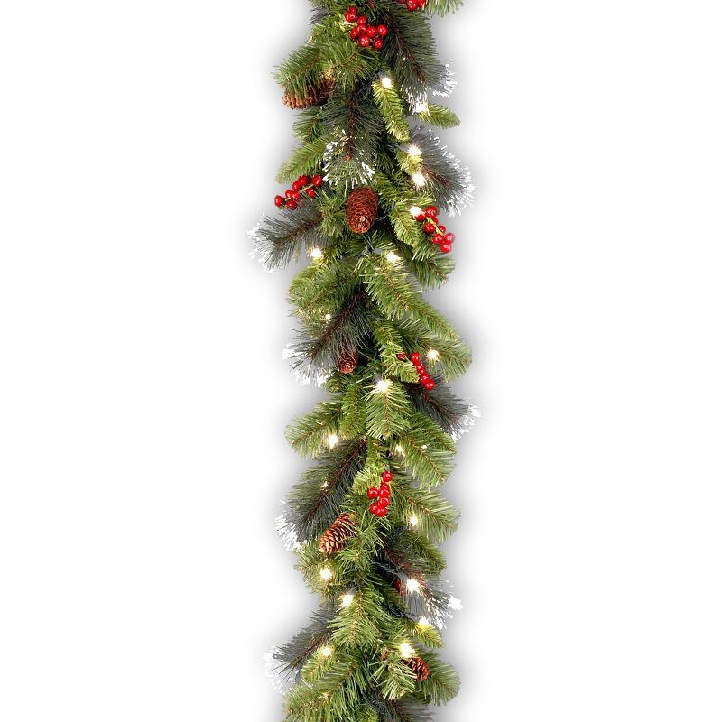 National Tree Company 9ft. Crestwood Spruce Garland with Clear Lights